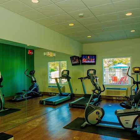 Holiday Inn Express St. Petersburg North / I-275 By Ihg Exterior foto