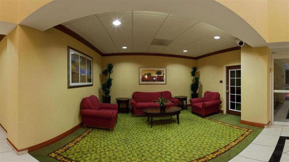 Holiday Inn Express St. Petersburg North / I-275 By Ihg Exterior foto